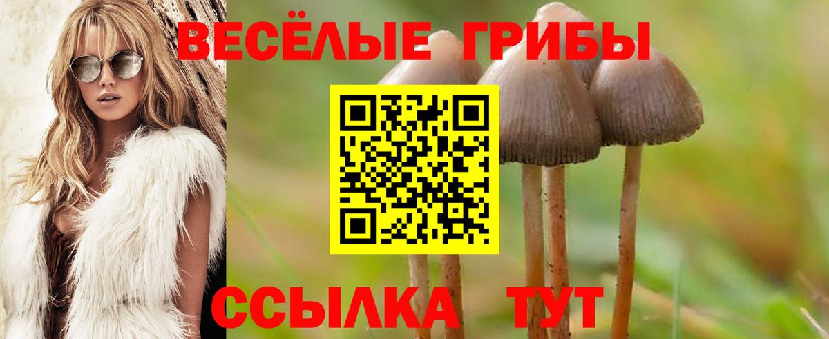 Псилоцибиновые грибы мухоморы  Вход с VPN  Новокубанск 