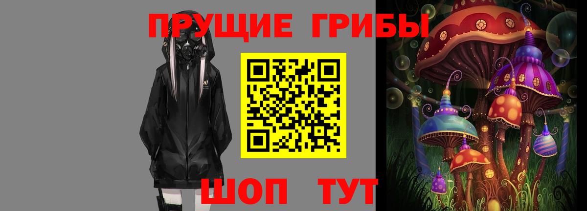 Псилоцибиновые грибы мицелий Новокубанск